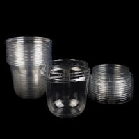 10Pcs Copas De Mousse Desechables De 10Oz Con Tapa Cajas De Plástico Transparentes Para Helado Postre Picnic Jalea Yogur - details 9