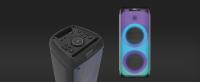 Vieta Pro Party 110 | Altavoz Potente Bluetooth de 150W con Auracast, 10h de autonomía, USB, Micrófono inalámbrico, Función TWS,2x Woofer de 6" y Tweeter, Leds RGB con Luces Flash. - details 2