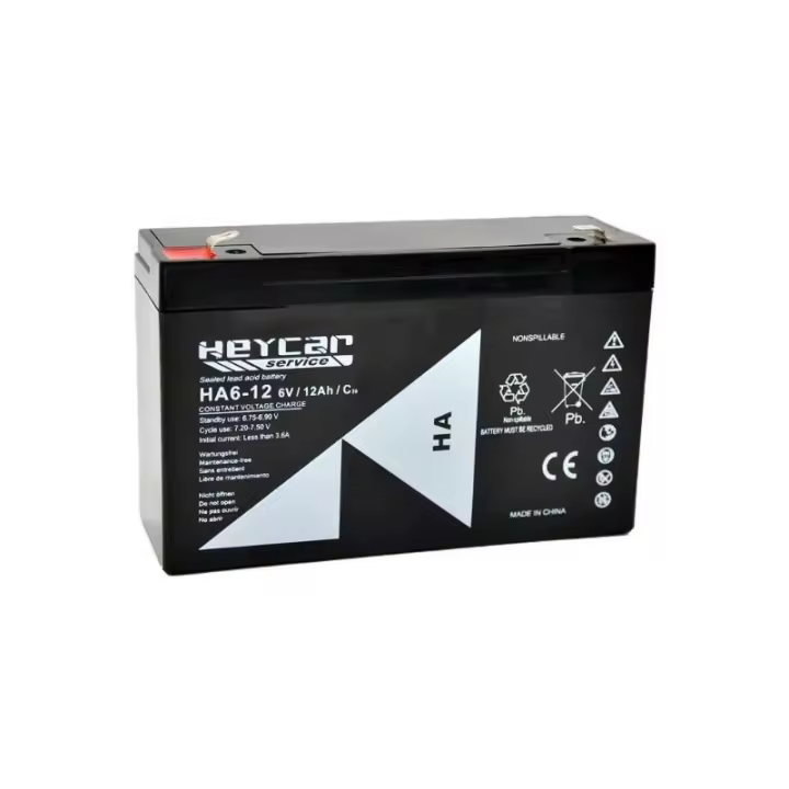 Batería Plomo Heycar HA6-12 6V 12Ah - 1