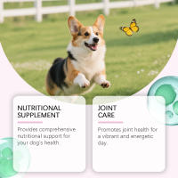 Gotas de Colágeno para Perros - Fórmula Suave Complemento para el Cuidado de la Piel y el Pelo. Para usar con el Alimento Principal. - details 3