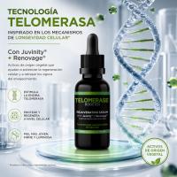 Sérum Facial Antiedad VIT VIT Telomerase Booster 30 ml con Juvinity™, Renovage™, Ácido Hialurónico y Niacinamida | Diet Esthetic - details 0