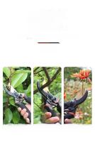 ZEXEF 1/2Pcs Tijeras De Jardín Profesionales De Titanio 8.5 Pulgadas T13 Ultra Afiladas Para Cortar Ramas De Jardín Herramienta De Poda De Alta Calidad - details 2