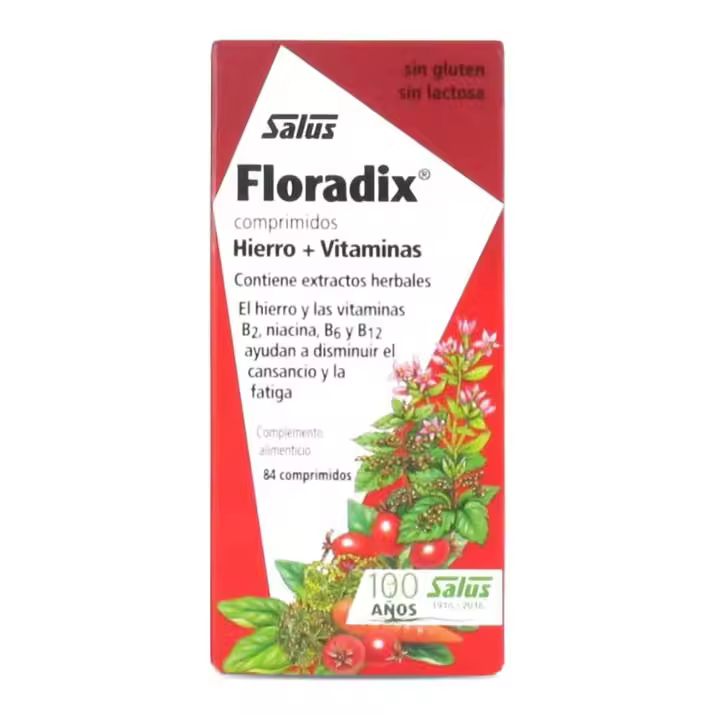 Salus Floradix Comprimidos - Complemento Vitamínico para Decaimiento y Astenia Primaveral - 1