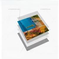 Pegatinas De Papel Tapiz Decorativas Para Basura Con Plantas Y Flores PVC Impermeable 3D Adhesivo Creativo Para Exterior - details 8