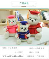 Oso De Peluche Doctor Graduado 18cm Juguete Divertido Para Decoración De Hogar Regalo De Graduación Kawaii Para Adultos Y Niños - details 2