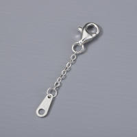 2pcs Cadena De Extensión En Plata 925 Con Cierre De Pato Para Creación De Joyas DIY Colgante Y Pulsera Accesorios De Joyería - details 4