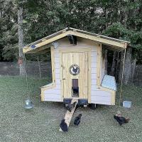 Kit Puerta Automática para Gallinero con Temporizador y Sensor de Luz - details 0