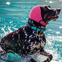 Ajustable Cobertor De Orejas Para Perros Reducción De Ruido Auriculares Antirruido Impermeables Para Pequeños Y Grandes Perros Accesorios Para Mascotas - details 4