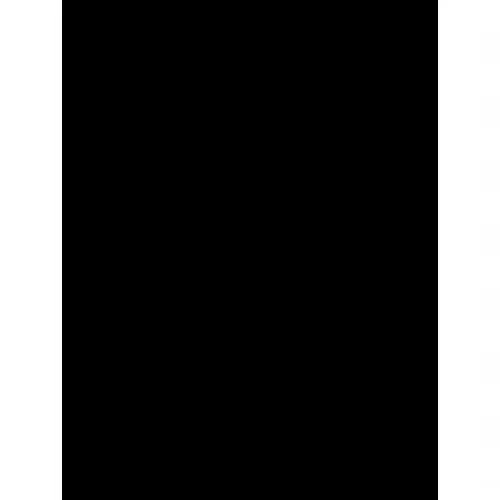 LUA E A PRINCESA DA FLORESTA DOURADA LOPES, Anab - 1