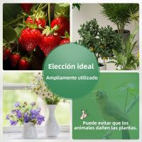 Carpa De Jardín Para Plantas Insecto-Resistente Y Anti-Pájaros PVC Cubierta Invierno Calor Anti-UV Viento Portable Para Flores - details 12