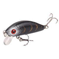 Señuelo De Pesca Minnow Rock Duro 5cm 4.2g Imitación Biónica Para Agua Dulce Y Salada Pesca De Bass Y Pike - details 7