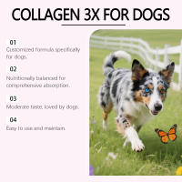 Gotas de Colágeno para Perros - Fórmula Suave Complemento para el Cuidado de la Piel y el Pelo. Para usar con el Alimento Principal. - details 6