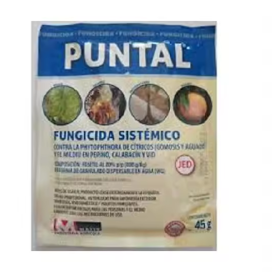 Massó Fungicida Sistémico PUNTAL, Sobre 45 gr - 1
