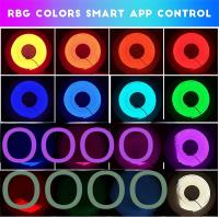 Fresnel RGB Neón Fita LED 1/2/3/4/5M DC5V IP65 Impermeable Luz Neón Para Decoración Interior De Habitación Cocina Hogar - details 9