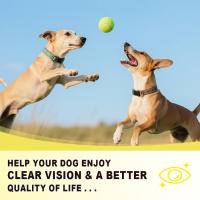 Complemento nutricional para los ojos de perros - details 5