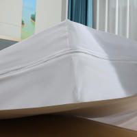 Nuevo&Almeritex 2000 Funda de colchón Micrfibra Blanco para cama, Con Cremallera en L - cama de 90-105-135-150 - details 3