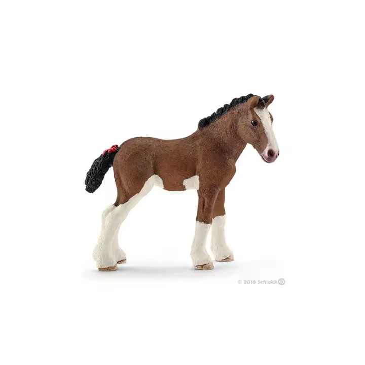 Potro Clydesdale - 1