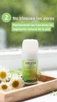Weleda Desodorante Roll-on de Citrus 24h Protección Aroma Fresco Unisex Aceites Naturales Sin Sales Sin Aluminio 50 ml - details 2