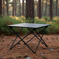 Aktive Camping - Mesa plegable camping, 43x40x31 cm, topes antivuelco, estructura acero, peso máximo soportado 30 kg, bolsa transporte asa hombro, mesa camping plegable - details 6
