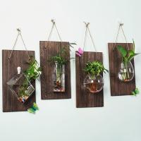 Decoración Creativa Para El Hogar En Madera Sólida Con Pequeño Vaso De Vidrio Para Plantas Hidroponicas Radish Verde - details 0