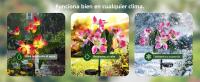Lámpara LED Solar De Orquídea Para Jardín Impermeable Decoración De Navidad Y Fiesta Para Aisles Corredores De Villas - details 1