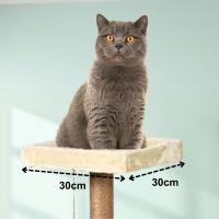 CATURE, Árbol Rascador para Gatos, 153 cm de Altura, Color Beige, con Casa y Plataformas, 50x50 cm Base - details 4