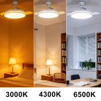 IOTOSTARK Ventilador de Techo con Luz LED Retráctil 106cm, 4 Aspas, Control por APP y Mando a Distancia, Potencia Total 66W, Temporizador, 6 Velocidades, 3 Temperaturas de Luz, Función Verano-Invierno, Silencioso, Negro IOTOSTARK-leduni - details 6