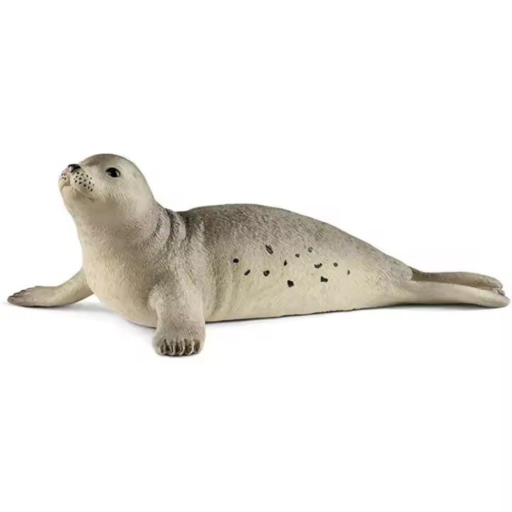 FOCA - 1