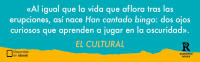 Han cantado bingo (Reservoir Narrativa) Tapa blanda - details 4
