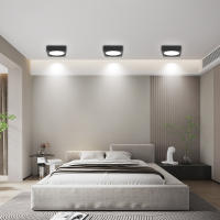 Lámpara De Techo LED Mini Luz Baja LED Para Cocina Y Sala De Estar Luz De Panel LED Para Dormitorio Y Sala De Estar Moderna Y Dimmable Fuente De Alimentación AC 220V - details 9