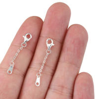 2pcs Cadena De Extensión En Plata 925 Con Cierre De Pato Para Creación De Joyas DIY Colgante Y Pulsera Accesorios De Joyería - details 3