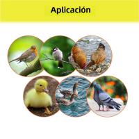 Incubador De Huevos Automático 56 154 Huevos De Pato Pollo En Venta 220V Con Bandeja Giratoria Para Aves Y Patos Máquina De Eclosionamiento - details 4