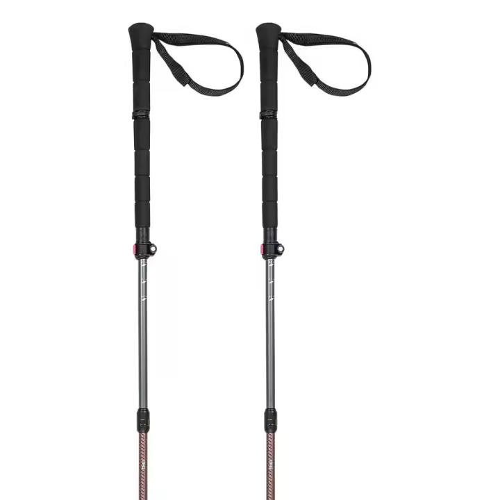 Material senderismo Bastones Ferrino Bastones Thui Negro Unisex - 1