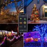 Luz De Fairy Globe Inteligente WiFi BLE 33 Bulbs Para Exterior RGB Decoración De Jardín Y Boda Con Control Por Alexa Google - details 3