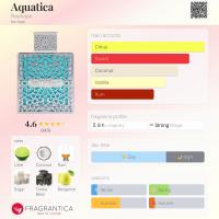 Aquatica Rayhaan Perfume Arabe 100% Original Hombre 100 ml – Frescura Marina y Elegancia Oriental - details 4