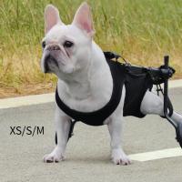 Harnés Para Perros De Ascenso Para Subir Y Bajar Las Escaleras Conjunto De Caminar Ajustable Y Transpirable De Polyester - details 3