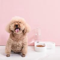 Tazón Automático Multifuncional Para Mascotas Alimentador De Agua Para Gatos Y Perros Resistente Al Humo Con Dispensador De Agua - details 5