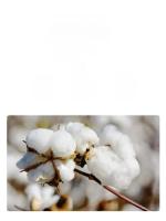 Cama Caliente Para Gatos Auto-regulable Funda De Sueño De Invierno Para Mascotas Pequeñas Y Perros Cachorros Sillón Suave De Peluche Para Interiores - details 0