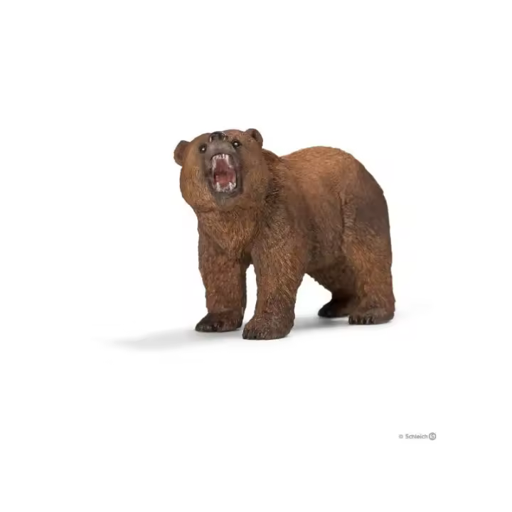 Oso grizzly - 1