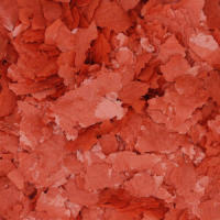 B4F Krill Flakes (250 ml) - Alimento Completo en Escamas Flotantes para Peces Tropicales (Discus, Tetras, Guppy) - details 1