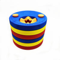 PORCHEDDU Bandas de Natacion para niños, paquete de 6 discos flotantes de EVA, Bandas de Natacion coloridas para niños de 3 A 8 años que están opening in Nadar, anillos de peso recomendaciones de 15 a 30 kg - details 2