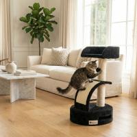 Casa Basics - Rascador para gatos TATA, Altura 58 cm, Plataforma Mirador, Rampa para rascar, Árbol para Gatos Negro/Gris/Beige - details 0