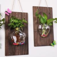 Decoración Creativa Para El Hogar En Madera Sólida Con Pequeño Vaso De Vidrio Para Plantas Hidroponicas Radish Verde - details 2