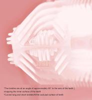 Cepillo de dientes ultrasónico automático,Cepillo De Dientes En Forma De U,Cepillos de dientes ultrasónicos de 360 \u200b\u200b° Cepillo de dientes eléctrico y Kit de blanqueamiento dental,para Cargar IPX7 a Prueba de Agua - details 2