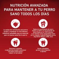 ALIMENTO PARA PERROS PURINA ONE DENTAL - PACK de 3 x 800grs - details 1