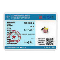 Encantos De Viaje Para Café Plata Charms Para Perros Y Gatos Corazón De Cuentas Adecuados Para Pulsera Original DIY Tendencia Clásica Vintage Romántica - details 27