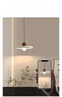 Lámpara Colgante LED Moderna Y Minimalista En Forma De UFO Circular Para Restaurante Mesa De Comedor Barra Iluminación De Ambiente - details 8