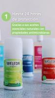 Weleda Desodorante Roll-on de Citrus 24h Protección Aroma Fresco Unisex Aceites Naturales Sin Sales Sin Aluminio 50 ml - details 1