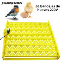 Incubador De Huevos Automático 56 154 Huevos De Pato Pollo En Venta 220V Con Bandeja Giratoria Para Aves Y Patos Máquina De Eclosionamiento - details 1