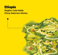 KAFI Café de Etiopía 100 % Arábica en grano – Café en grano, Café de especialidad, tostado natural semanal - details 0